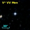 V* VV Men