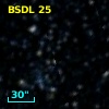 BSDL   25