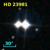 HD  23981