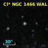 Cl* NGC 1466   WALK     343