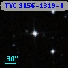 TYC 9156-1319-1