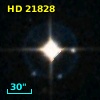 HD  21828