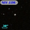 NSV  1198