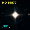 HD  19877