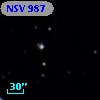 NSV   987