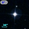 V* WY Hor