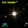 HD  36989