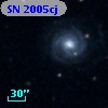 SN 2005cj