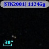 [STK2001] 11245g