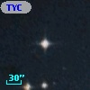 TYC 8478-288-1