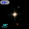 CD-53   277