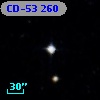 CD-53   260