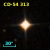 CD-54   313