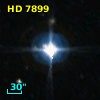HD   7899