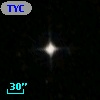 TYC 8036-1203-1