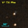 V* TX Phe