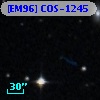 [EM96] COS-1245