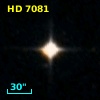 HD   7081
