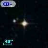 CD-46   300