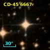 CD-45  6667