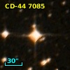 CD-44  7085