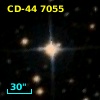 CD-44  7055