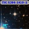 TYC 8204-1429-1