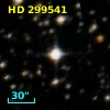 HD 299541