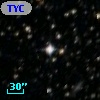 TYC 8211-1216-1