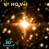 V* HQ Vel
