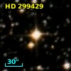 HD 299429