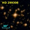 HD 299308