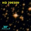 HD 299309
