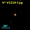 V* V1219 Cyg