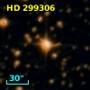 HD 299306