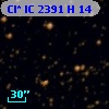 Cl* IC 2391      H      14