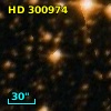 HD 300974