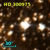 HD 300975