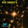HD 300973