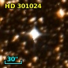 HD 301024