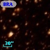 BRAN 321A