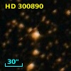 HD 300890