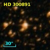 HD 300891