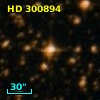 HD 300894