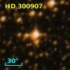 HD 300907