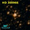 HD 300966