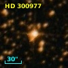HD 300977