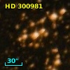 HD 300981