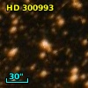HD 300993