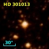 HD 301013